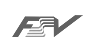 FSV